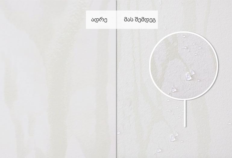 water-repellent treatment for mineral paints and mortars